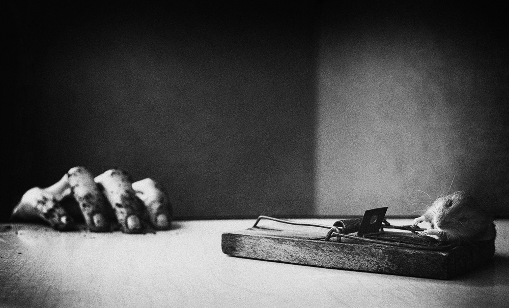 Eerie Mouse Trap Hand by Samanta Krivec — canvas wall art