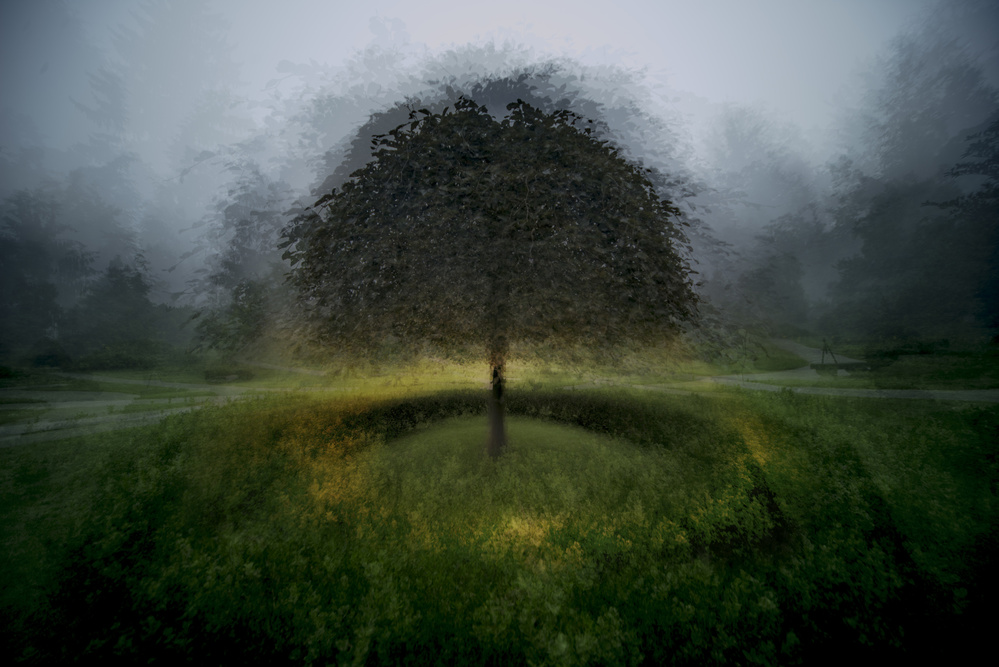 Dreamy Lone Tree by Milan Malovrh — canvas wall art