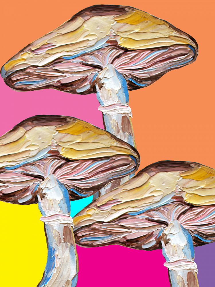 Psychedelic Fungi Pop Art by Alice Straker — canvas wall art