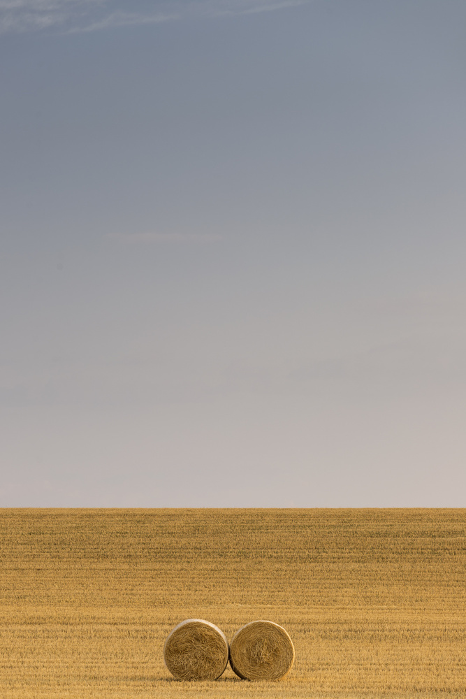 Golden Field Hay Bales by TONY GORAN — canvas wall art