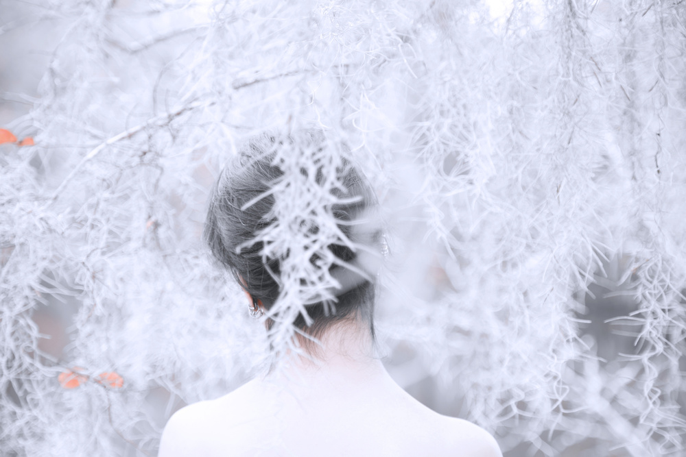 Ethereal Woman's Back by Melissa Osorio — canvas wall art