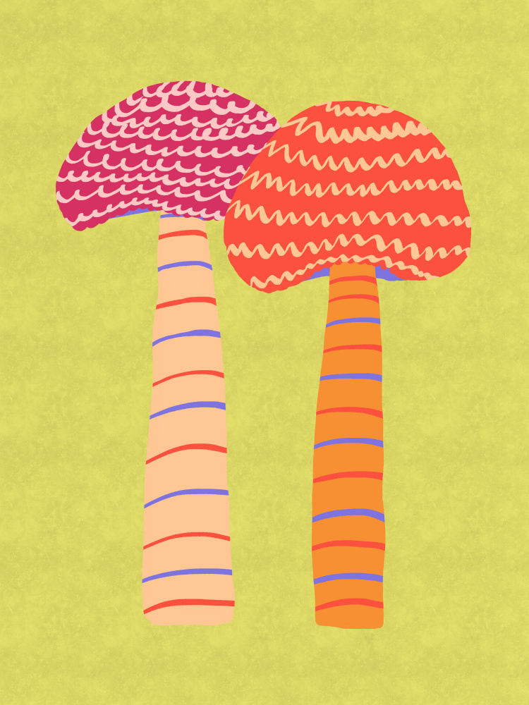 Whimsical Striped Mushrooms by Aliya Putrus — canvas wall art