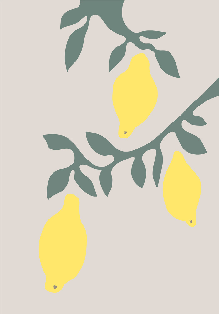 Fresh Lemon Branches by Old Artists Studio II — canvas wall art