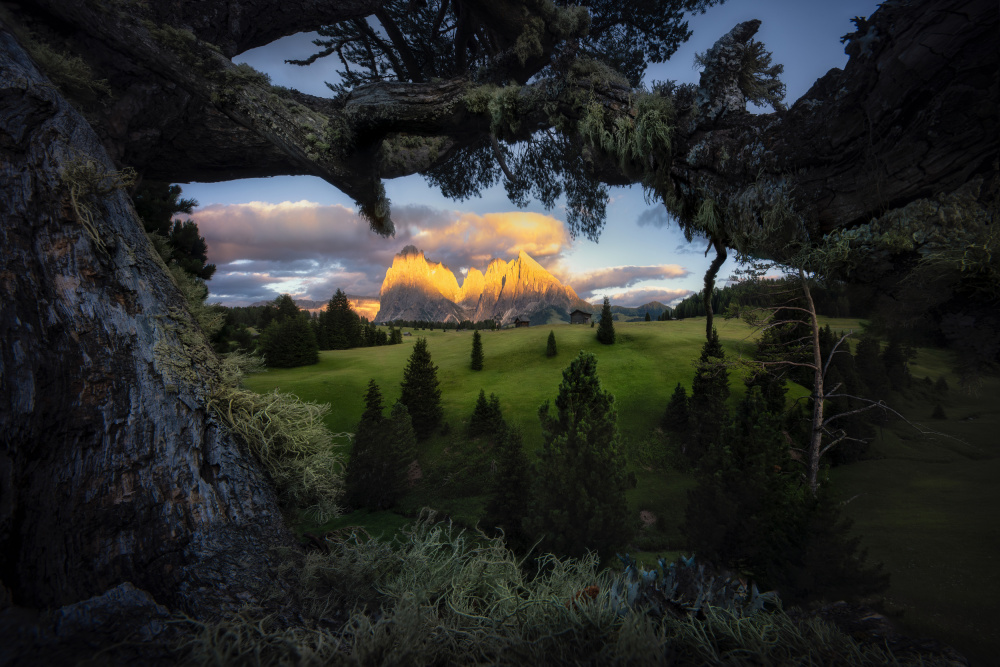 Golden Peaks View by Marian Kuric QEP — canvas wall art