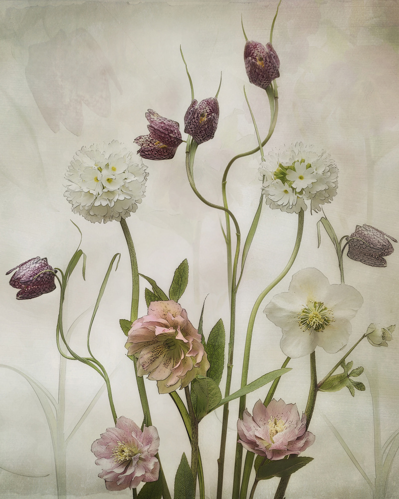 Soft Spring Flowers by Sharon Williams — canvas wall art