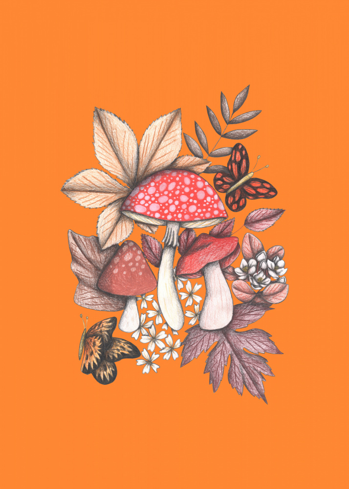 Autumn Woodland Mushrooms by Cecilia Battaini — canvas wall art