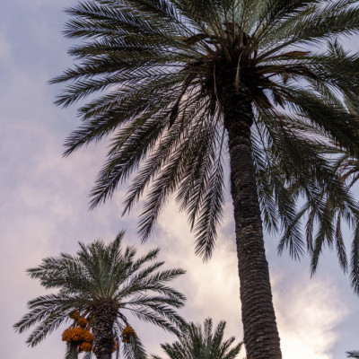 Sicilian Memories 11