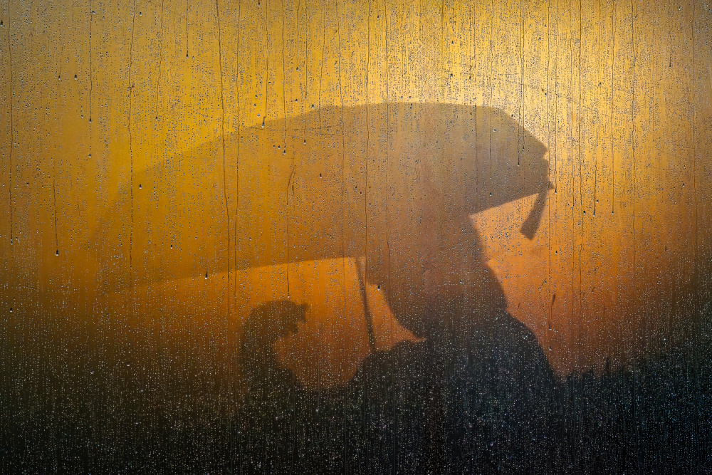 Golden Hour Rain Silhouette by Yuzo Fujii — canvas wall art