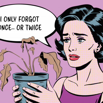 I Only Forgot Once, or Twice