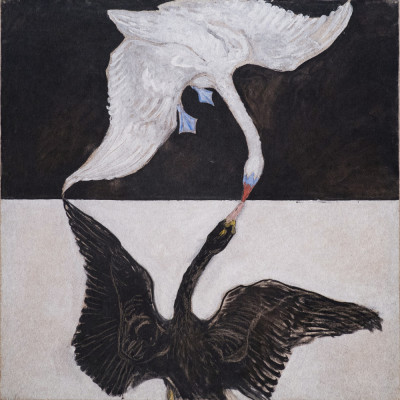 Hilma Af Klint   the Swan