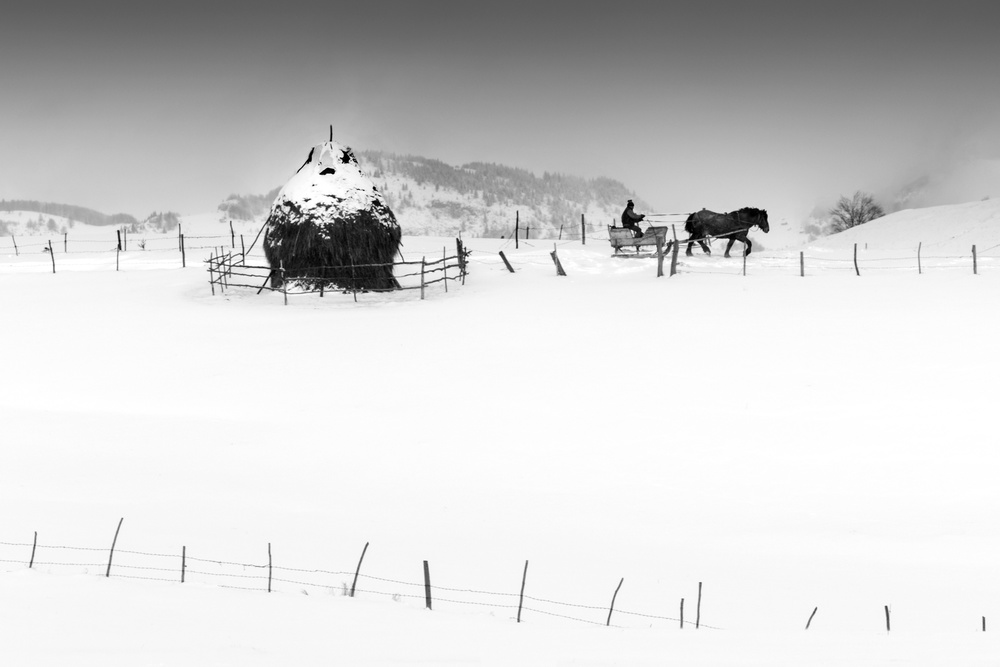 Winter Horse Sleigh Haystack by ATTILA SZABO — canvas wall art