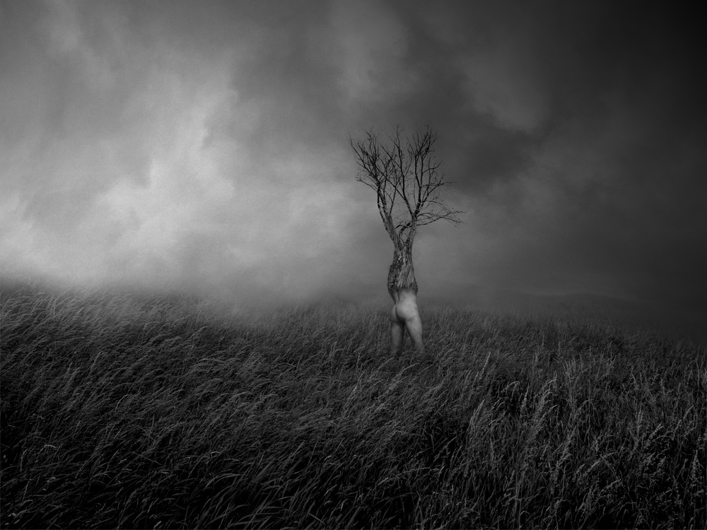 Surreal Human Tree by David Senechal Photographie (polydactyle) — canvas wall art