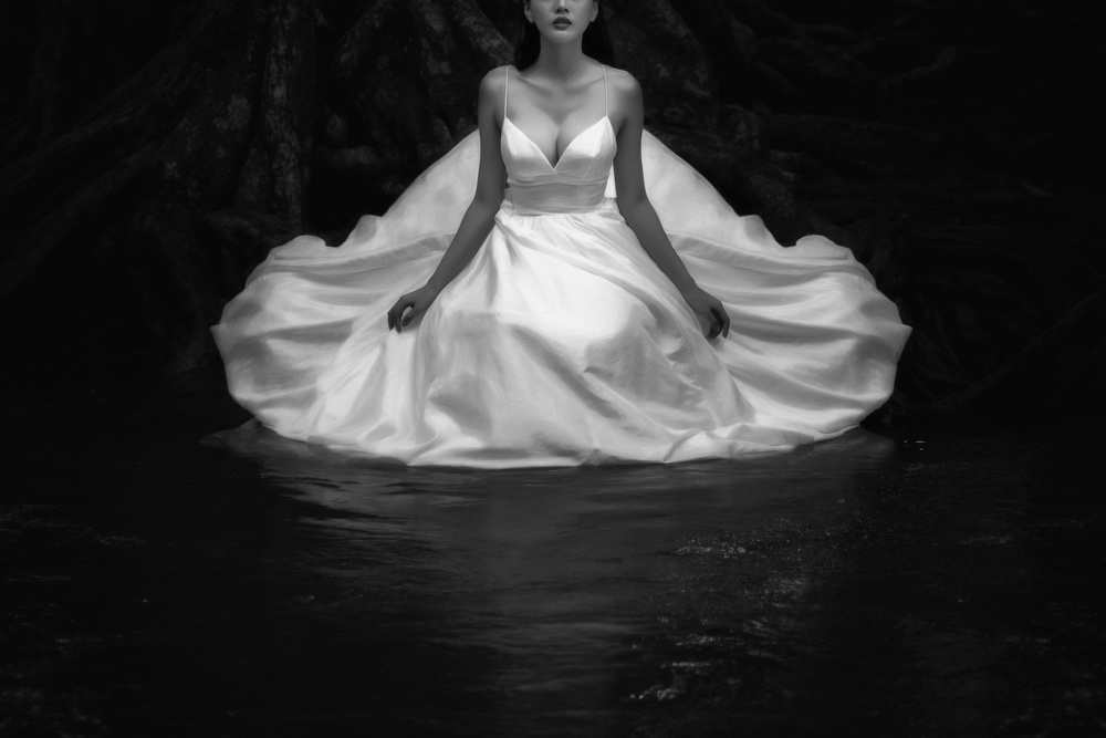Elegant Woman in Dark Water by ADIREK M — canvas wall art