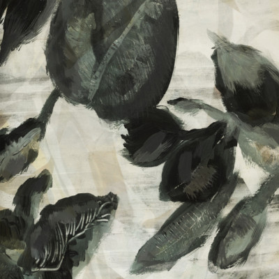 Midnight Flora Studies