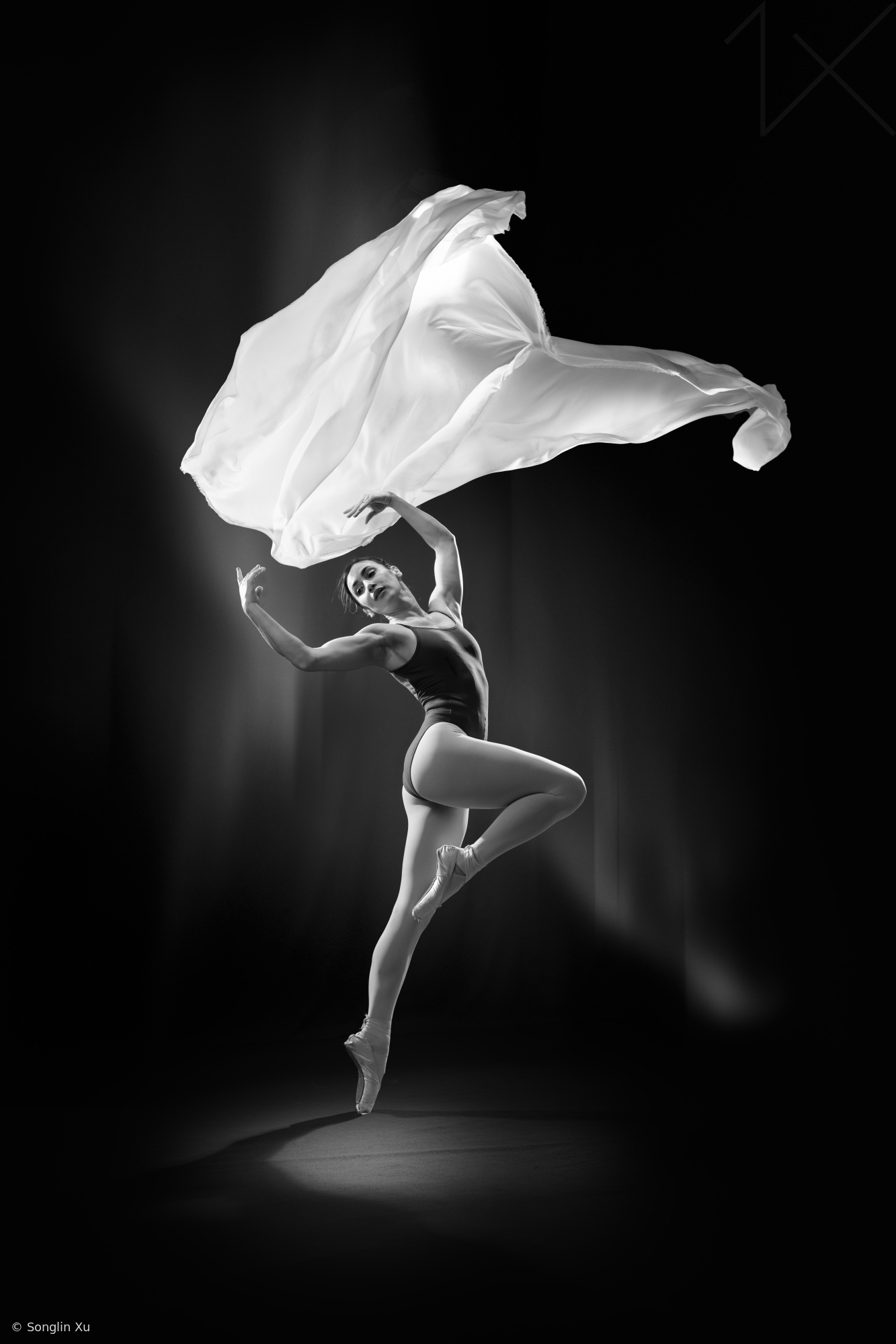 Dance for an elegant moment