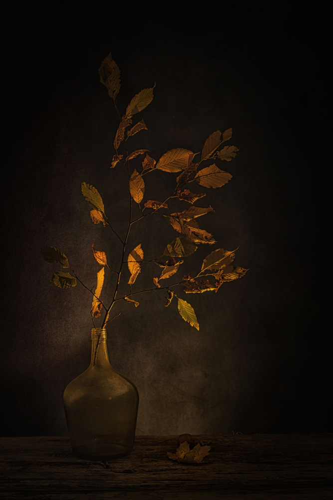 Moody Autumn Leaves by Saskia Dingemans — canvas wall art