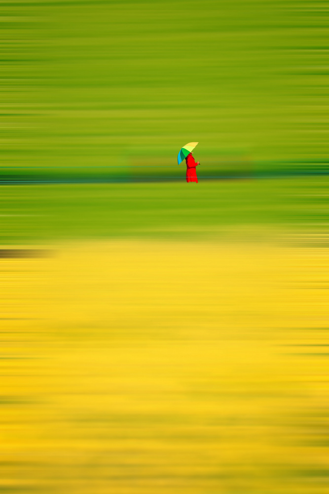 Colorful Umbrella Fields by Kim gyou-pyo — canvas wall art