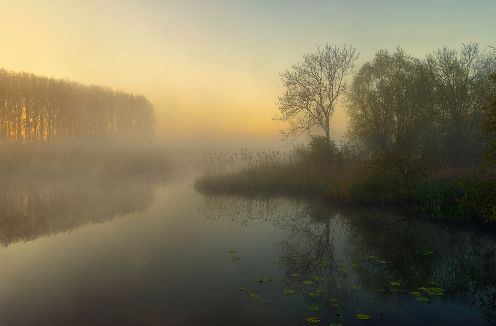 Serene Foggy River Morning by Ellen Borggreve — canvas wall art