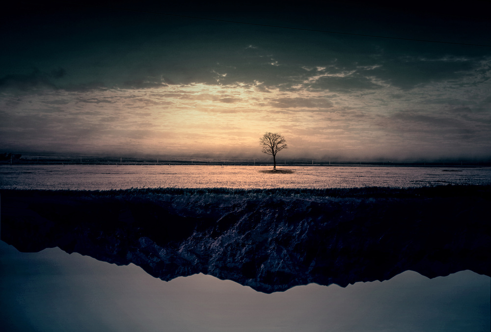 Solitary Tree Reflection by Asef Azimaie — canvas wall art