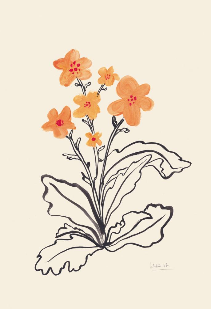 Vibrant Orange Flowers by Catalina Somolinos — canvas wall art