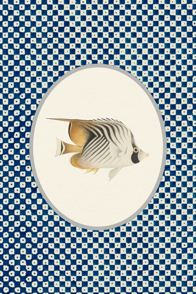Stylized Tropical Fish by Wild Violets — canvas wall art