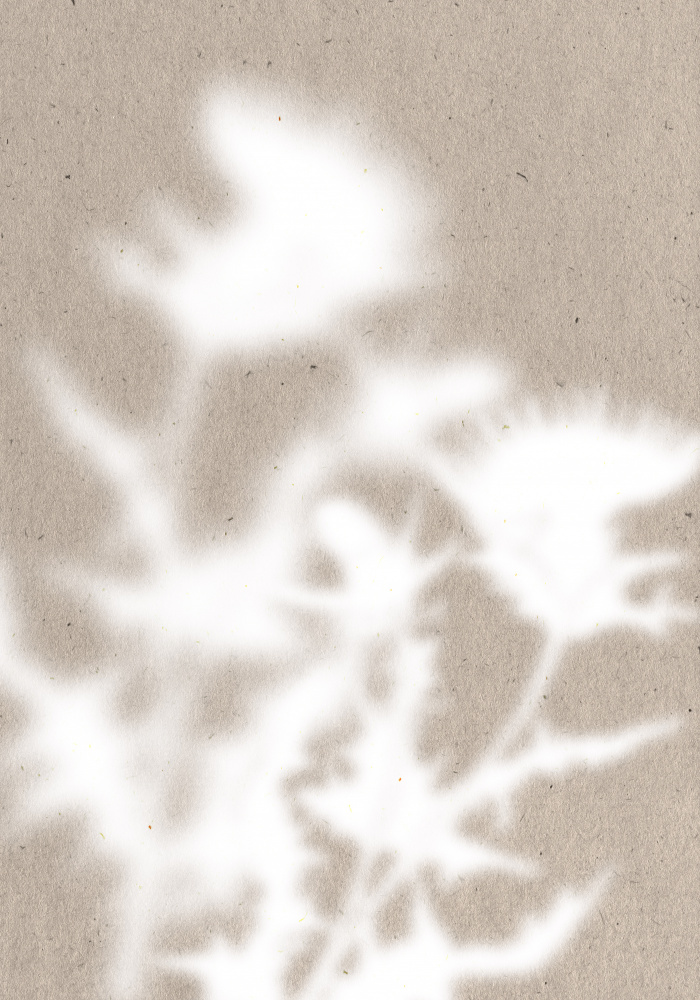 Soft Botanical Shadows by THE MIUUS STUDIO — canvas wall art
