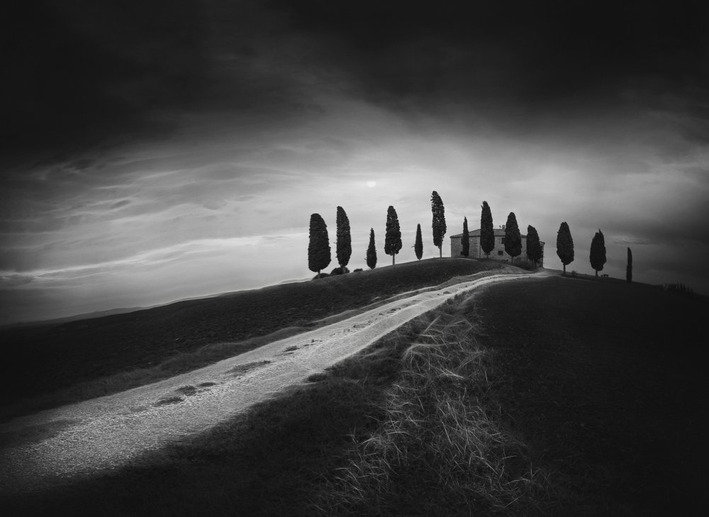 Winding Tuscan Hill by Todor Tanev — canvas wall art
