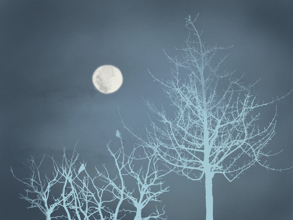 Moonlit Winter Night by Little Dean — canvas wall art