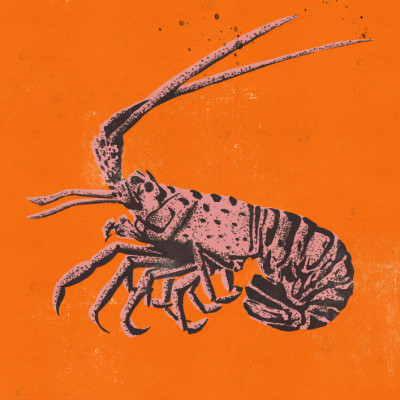 Orange Lobster Graphic