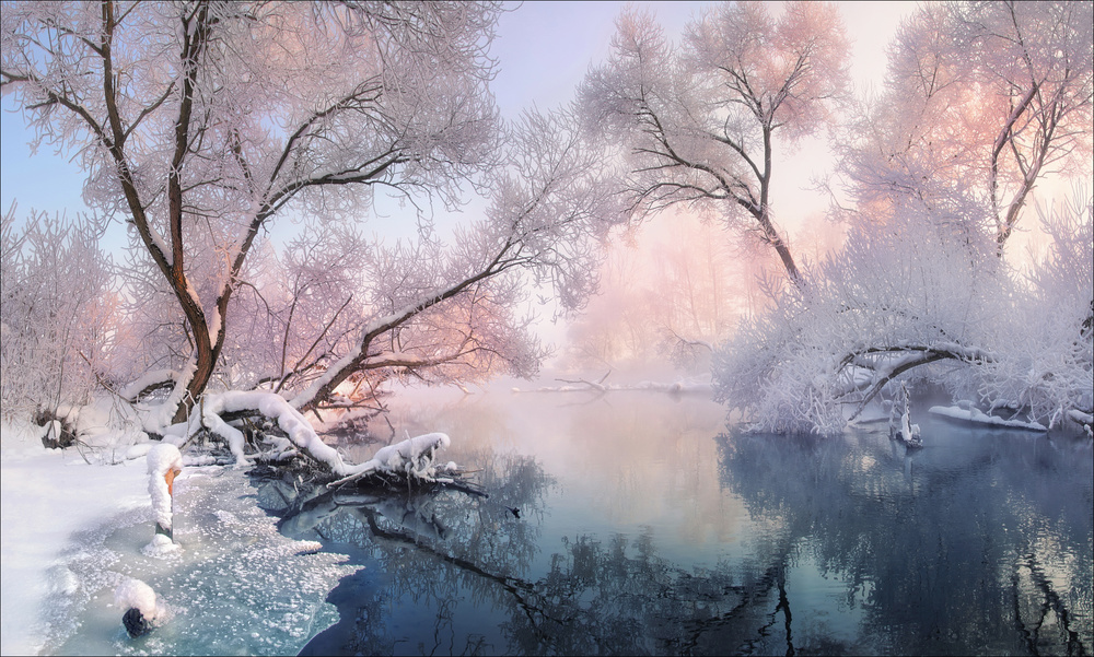 Serene Frosty Morning by Vlad Sokolovsky — canvas wall art