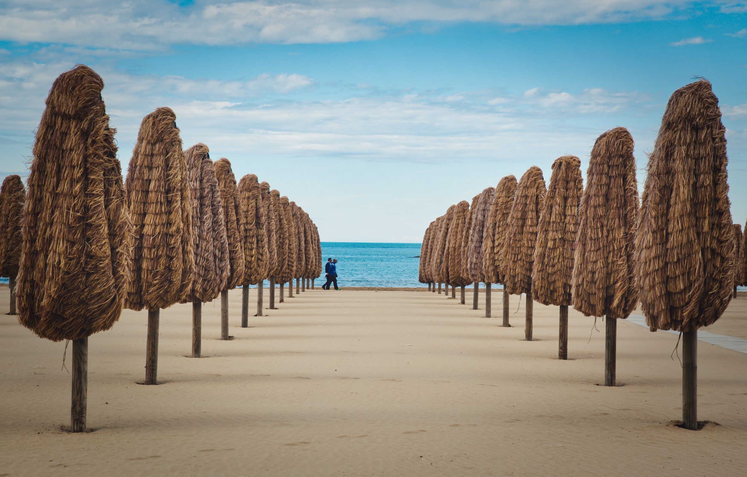Waiting for the Summer by Alex Rimsky