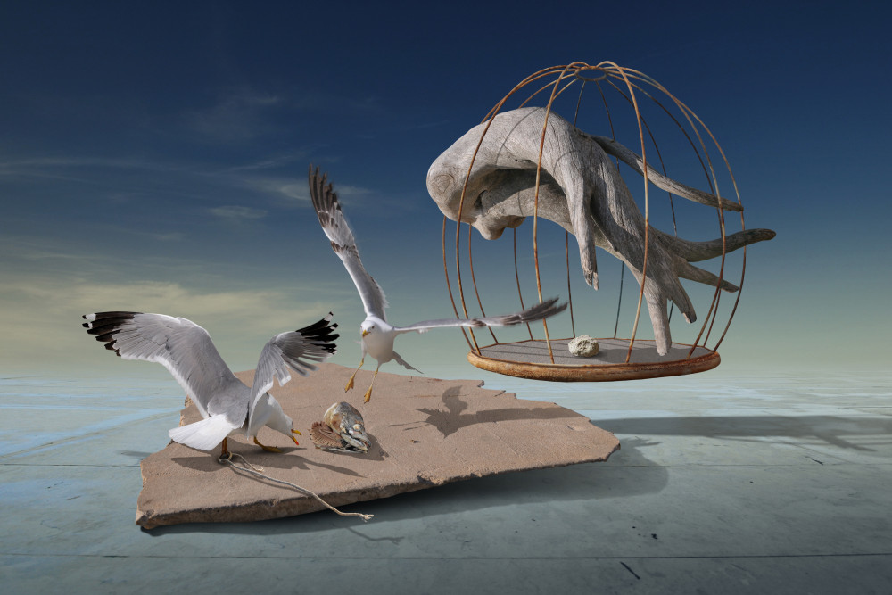Seagulls Escape Surreal Cage by Radoslav Penchev — canvas wall art