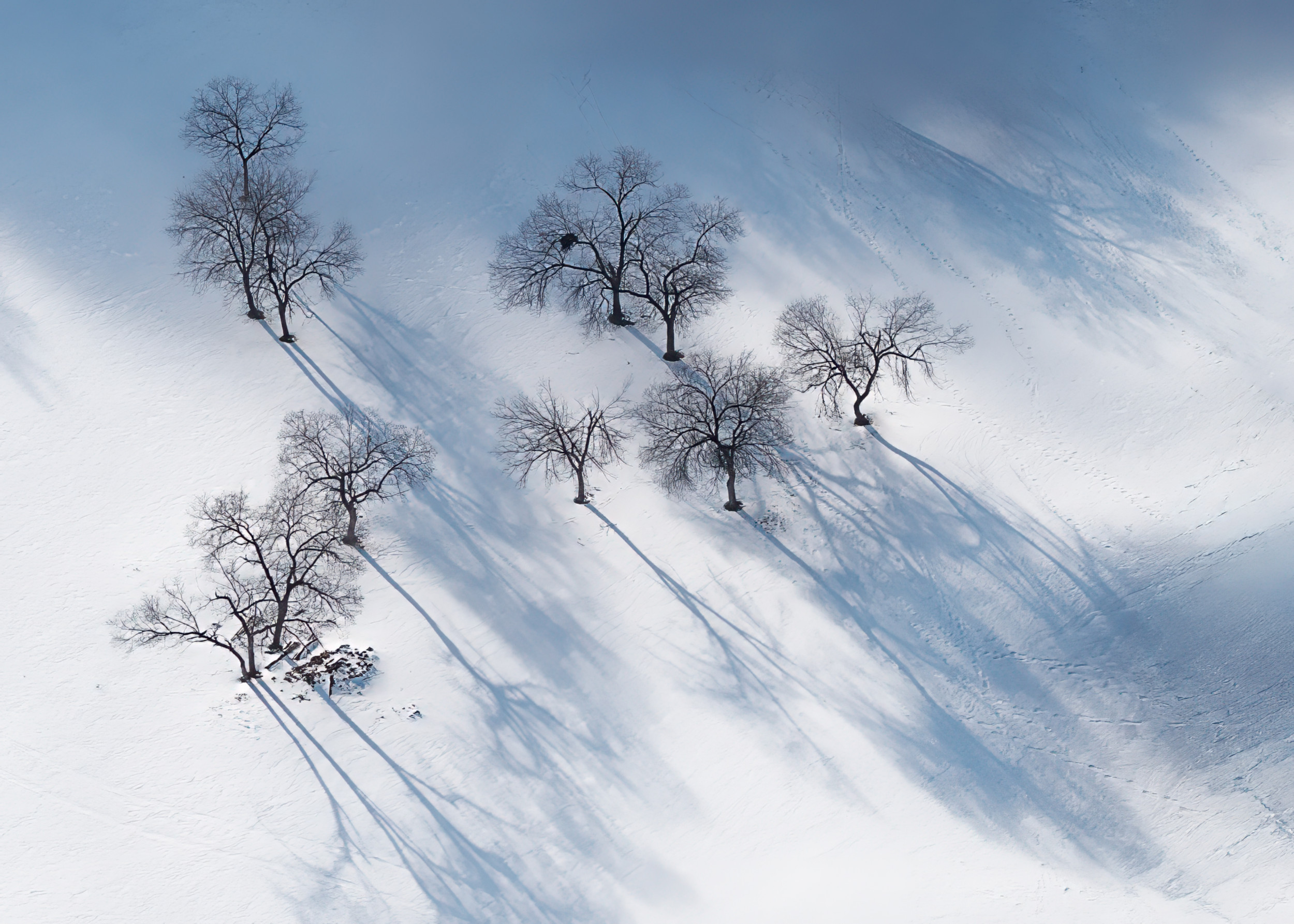 Winter dream- a still ballet by LINGLING GUAN