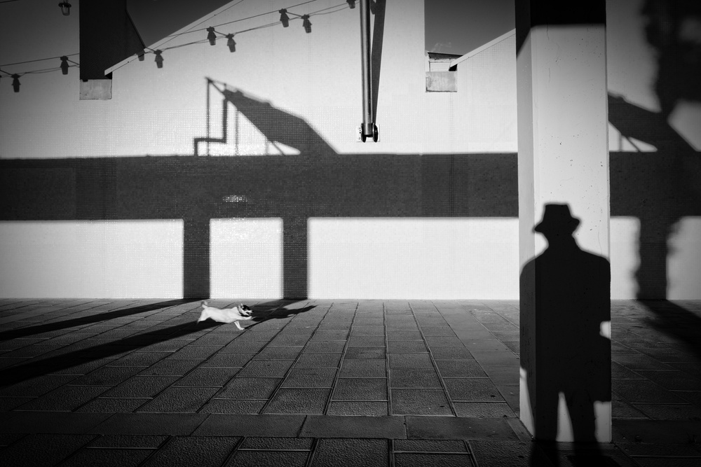 Shadow Man Running Dog by Ignasi Raventos — canvas wall art
