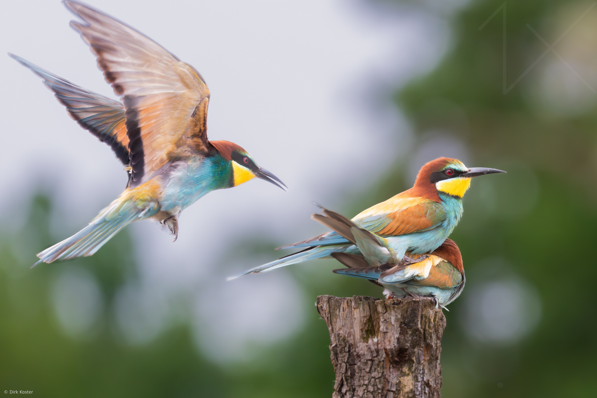 Three is a crowd
