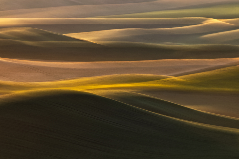 Golden Rolling Hills by Molly Fu APA — canvas wall art