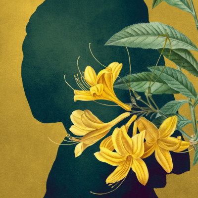 Shades of Girl With a Pearl