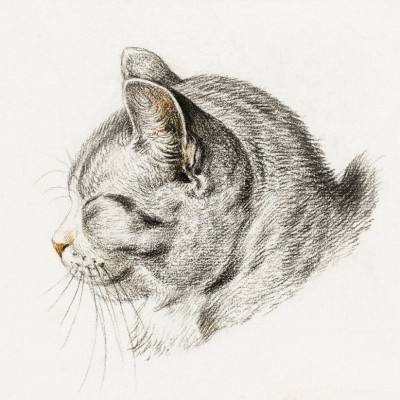 Sketch of a Cat (1813)