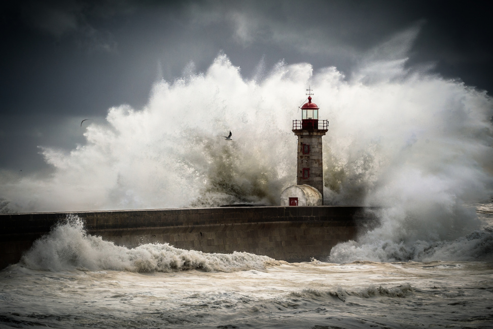 Stormy Lighthouse Waves by Marco Faria — canvas wall art
