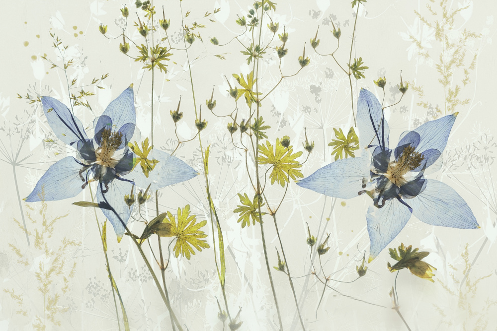 Just the two of us by Nel Talen — canvas wall art