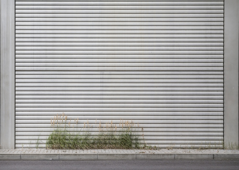 Industrial Wall Greenery by Michael Schulz-Dostal — canvas wall art