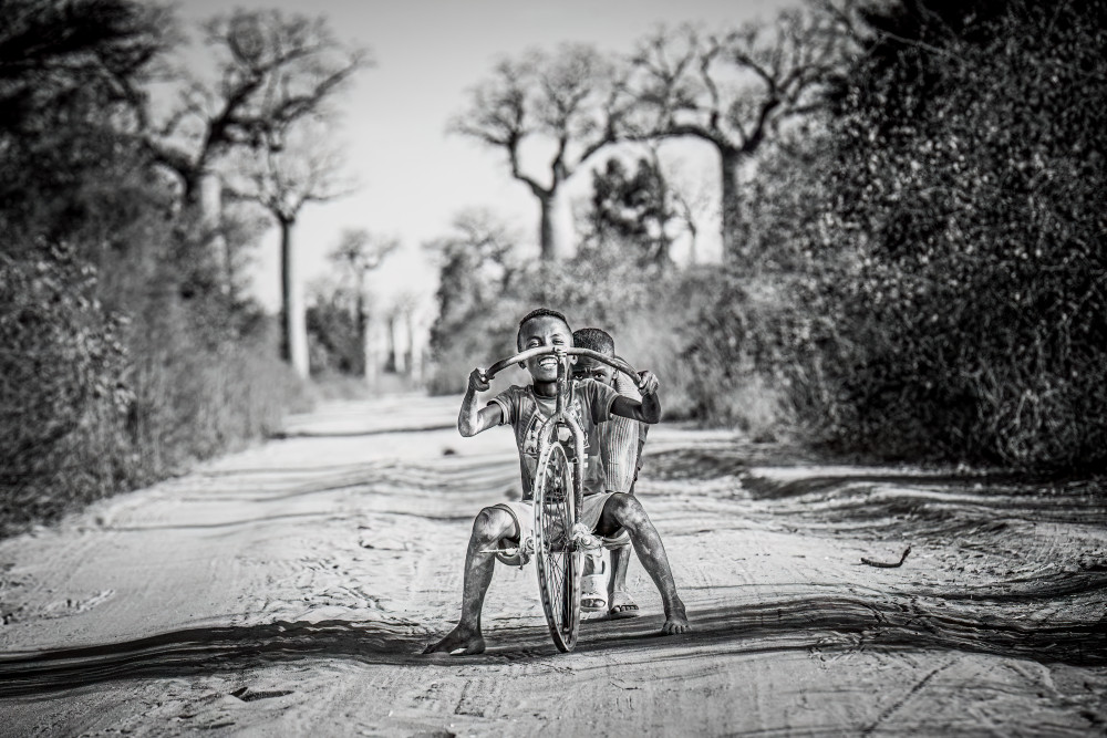 Childhood Joy Baobab Road by Marco Tagliarino — canvas wall art