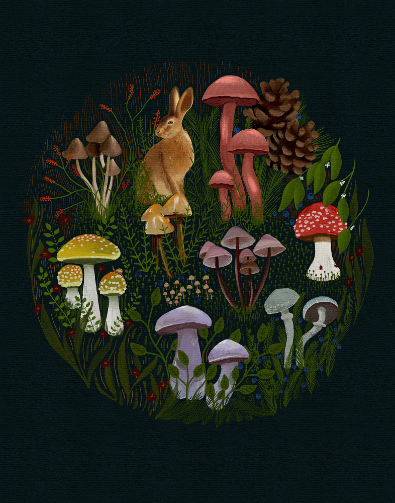 Night Rabbitv2 by Katie O'Shea — canvas wall art