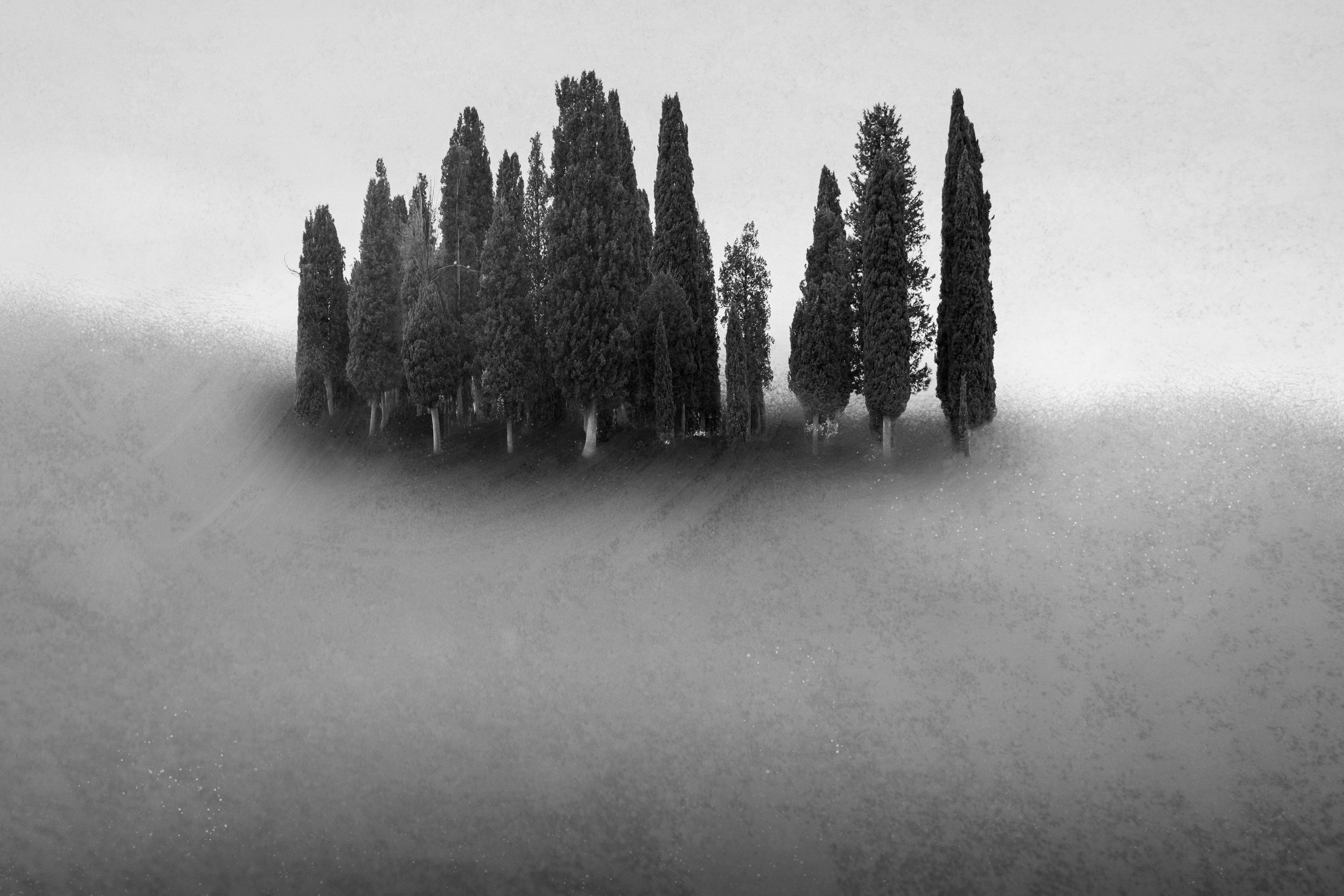 circle of cypresses