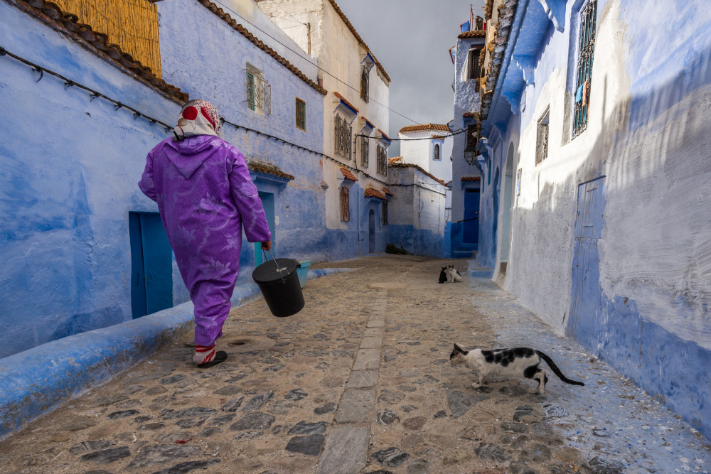 Chefchaouen Blue Street by Sergey Pesterev — canvas wall art