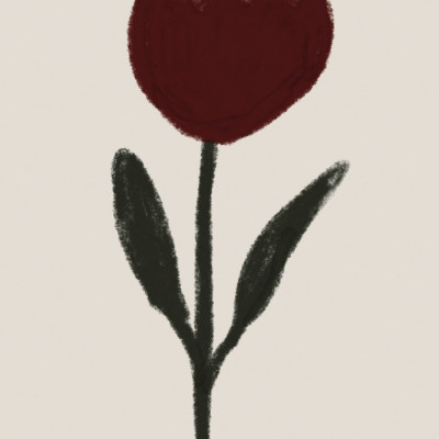 Redtulip