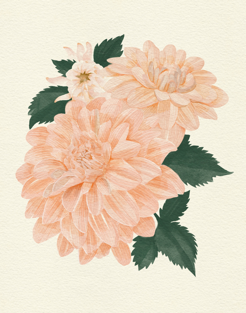 Untitled by Katie O'Shea — canvas wall art