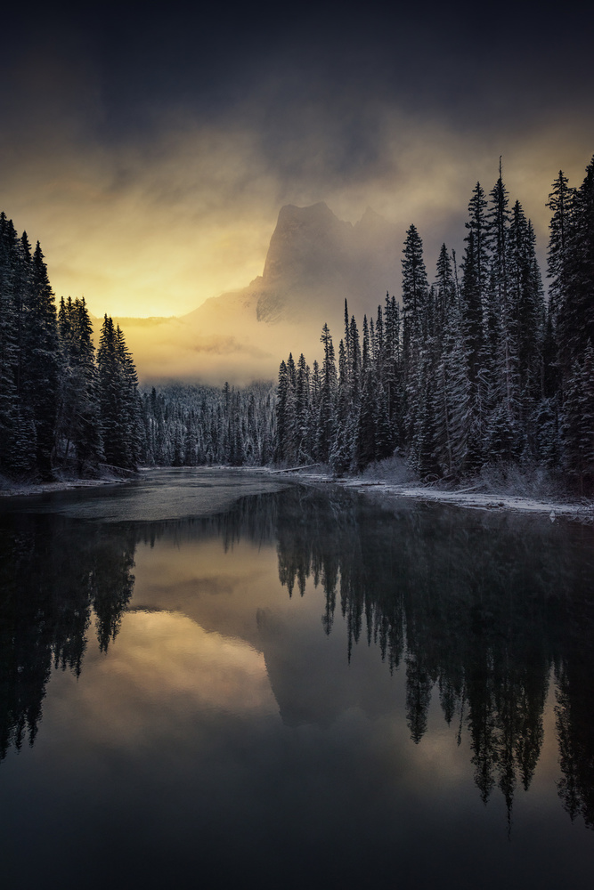 Misty Mountain Dawn by David Martin Castan — canvas wall art