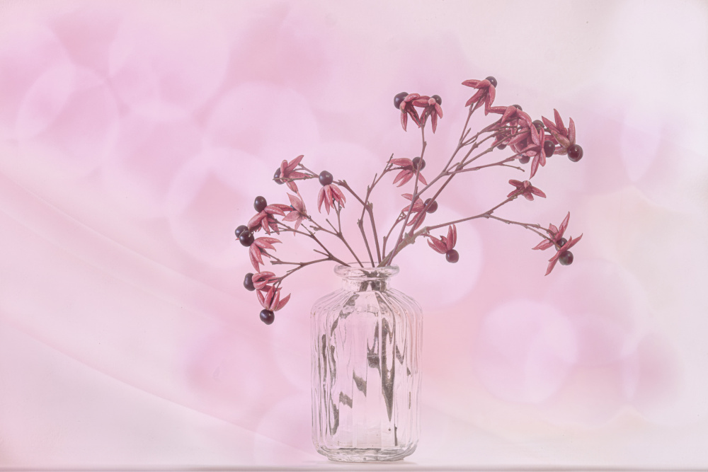 Pink by Marie-anne Stas — canvas wall art