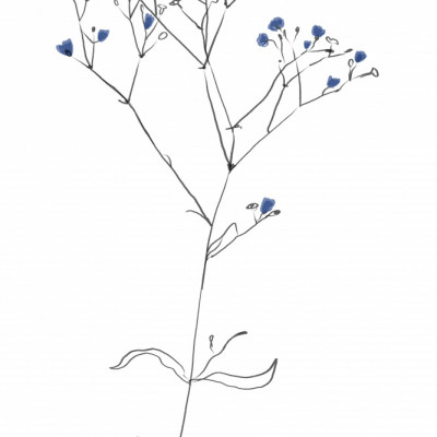 Simple Line Art Plant